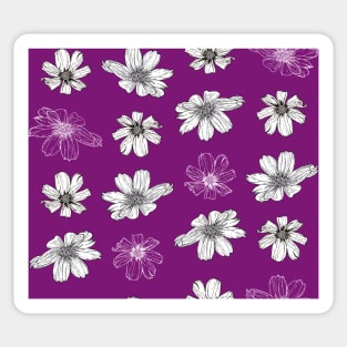 White Cosmos flowers on magenta Sticker